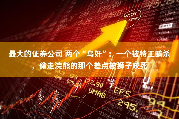 最大的证券公司 两个“乌奸”：一个被特工暗杀，偷走浣熊的那个差点被狮子咬死