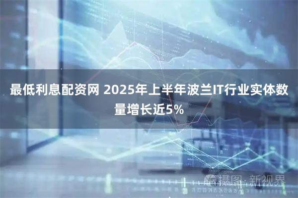 最低利息配资网 2025年上半年波兰IT行业实体数量增长近5%