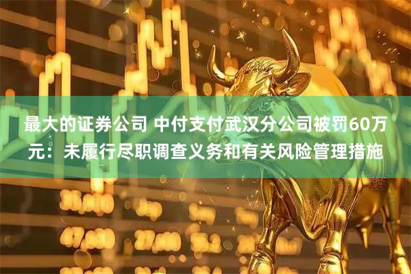 最大的证券公司 中付支付武汉分公司被罚60万元:未履行尽职调查义务和有关风险管理措施